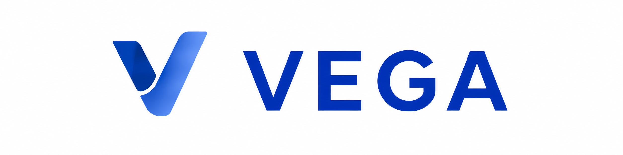 VEGA | Gestão em saúde