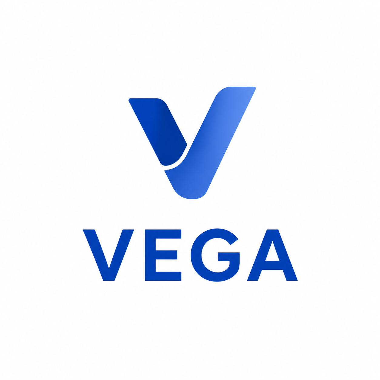 VEGA | Gestão em saúde